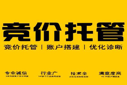 行业新秀的SEM优化之路：从零到一的突破